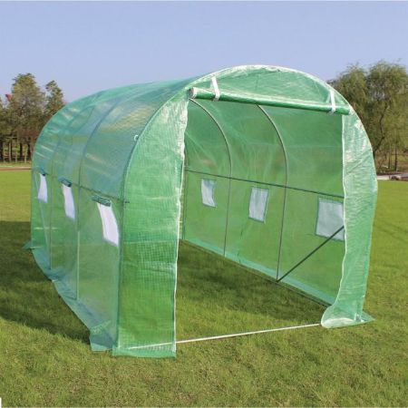 Picture of Sprouting Premium Polytunnel Greenhouse With Steel Frame