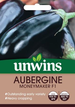 Picture of Unwins Aubergine Moneymaker
