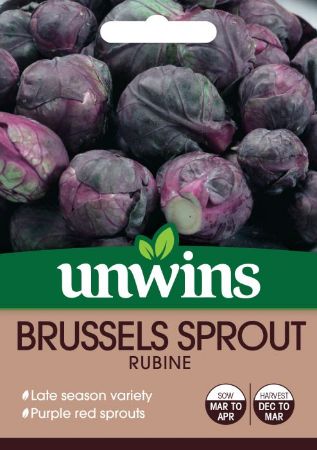 Picture of Unwins Brussels Sprout Rubine