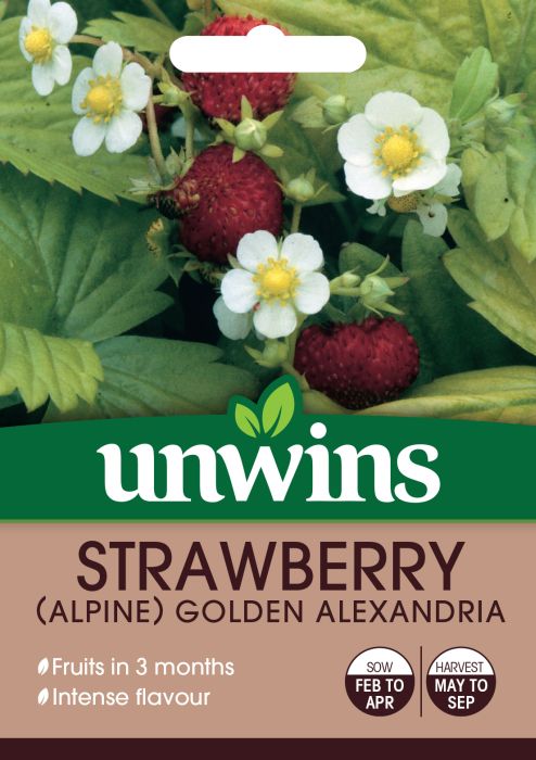 Picture of Unwins Strawbery Golden Alexandria