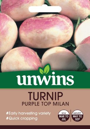 Picture of Unwins Turnip Purple Top Milan