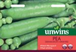 Picture of Unwins Pea Maincrop Onward
