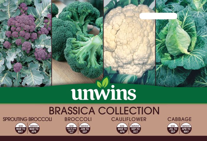 Picture of Unwins Brasscia Collection Pack