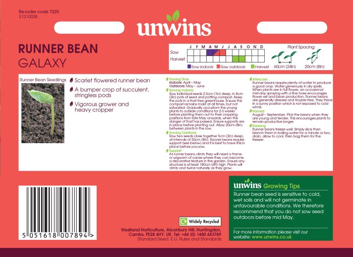 Picture of Unwins Runner Bean Galaxy
