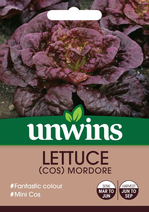 Picture of Unwins Lettuce Cos Mordore