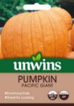 Picture of Unwins Pumpkin Pacific Giant