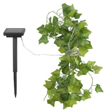Picture of Ivy String Light 30 Led
