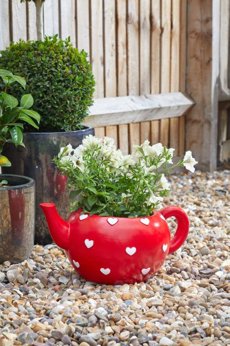 Picture of Teapot Heart Planter
