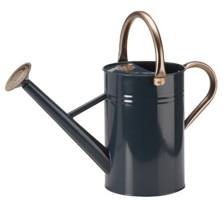 Picture of Watering Can - Blue 4.5l