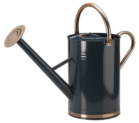 Picture of Watering Can - Blue 9l