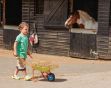 Picture of Wheelbarrow