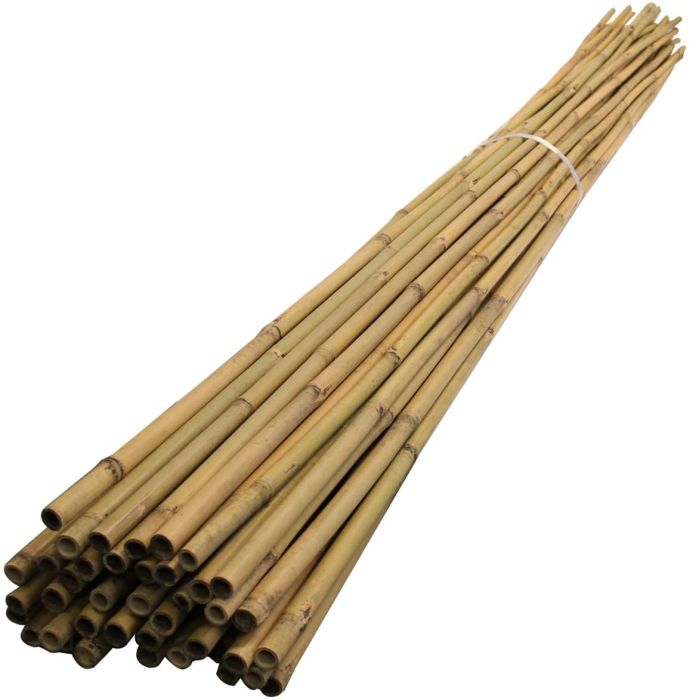 Picture of Smc4 Bamboo Canes 4' (10s)