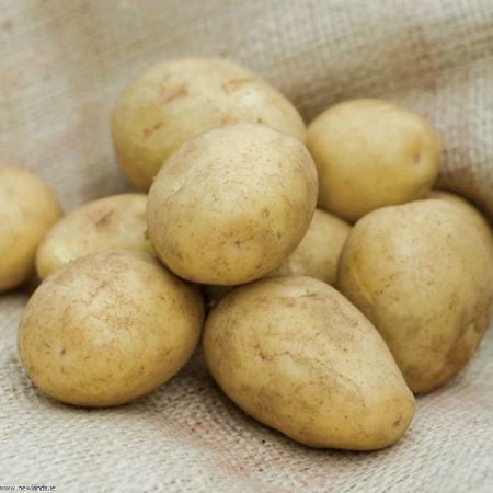 Picture of Dp001 2kg Homeguard Earlies Potatoes