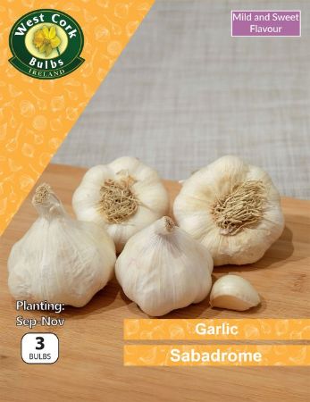 Picture of Garlic Sabadrome 3 Bulbs Prepack
