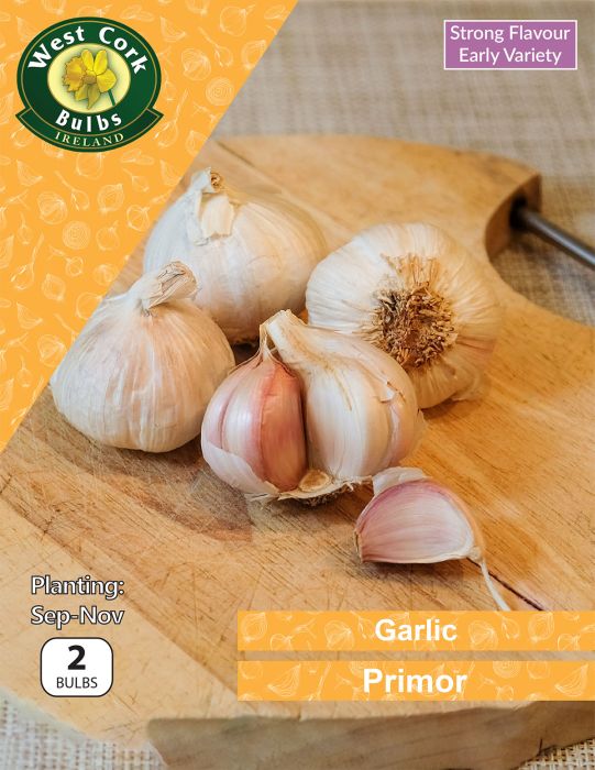 Picture of Garlic Primor 2 Bulbs Prepack