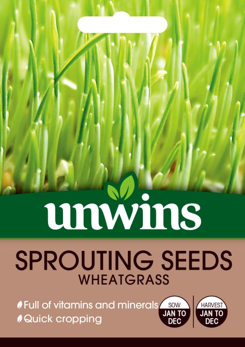 Picture of Unwins Sprouting Seeds Wheatgrass