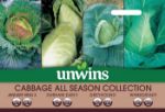 Picture of Unwins Cabbage All Season Col Pk