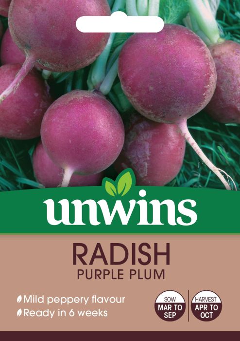 Picture of Unwins Radish Globe Purple Plum
