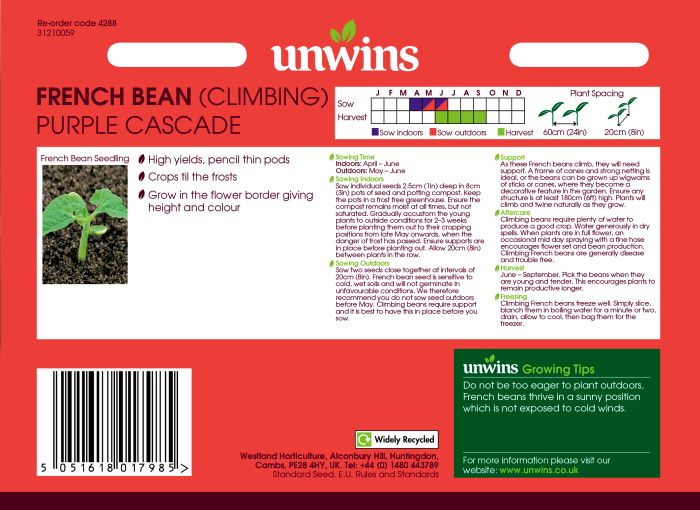 Picture of Unwins French Bean Climbing Purple Cascade