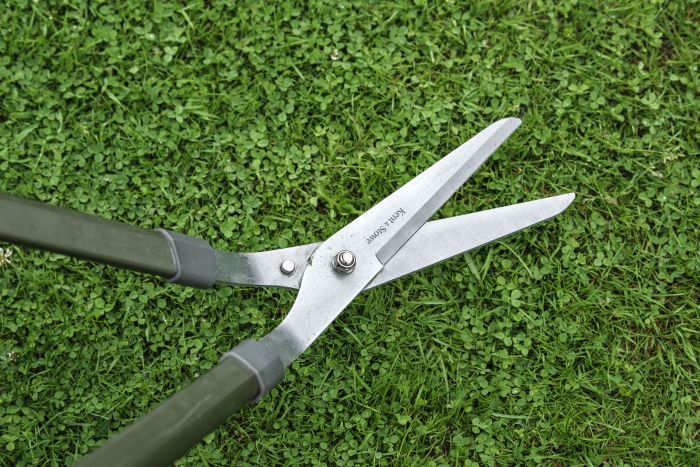 Picture of Lawn Shears