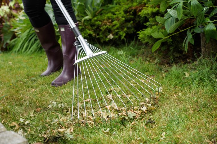 Picture of Expanding Lawn and Leaf Rake