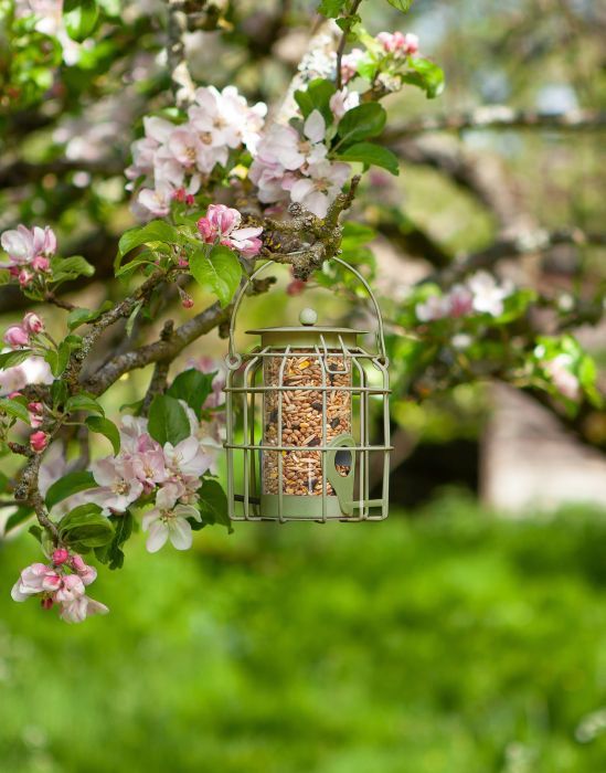 Picture of Seed Feeder Compact Squirrel Proof