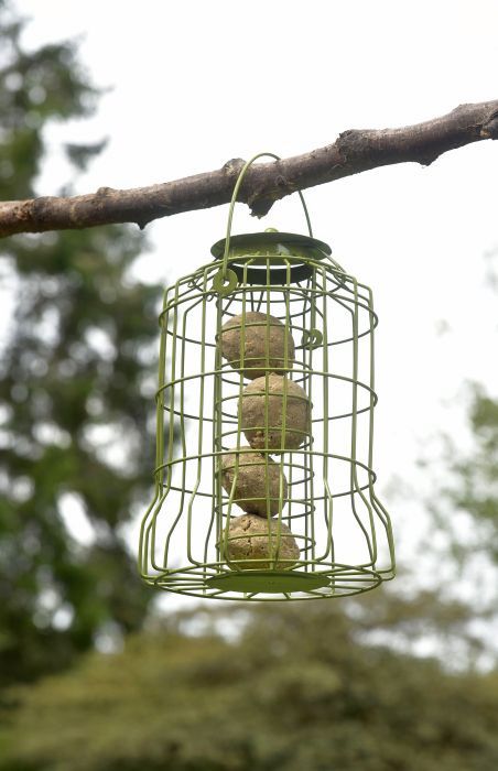 Picture of Squirrel Proof Suet Ball Feeder
