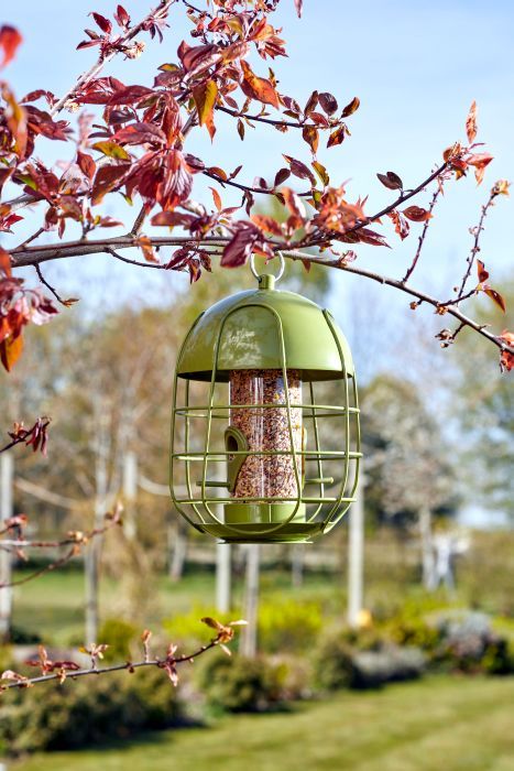 Picture of Acorn Squirrel Proof Seed Feeder