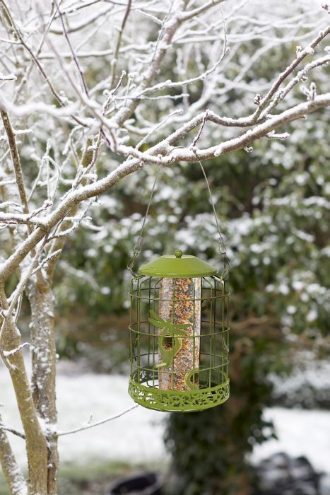 Picture of Decor Squirrel Proof Seed Feeder