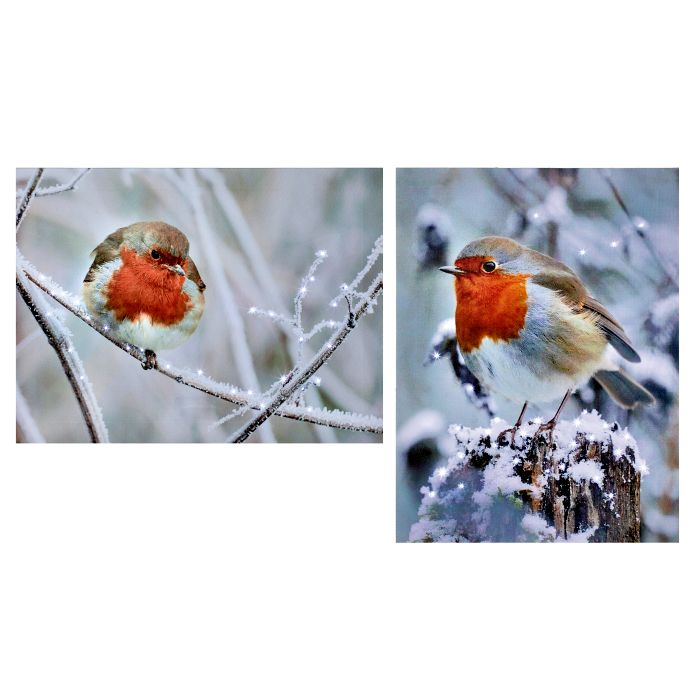 Picture of Led Robin Canvas 2 Assorted