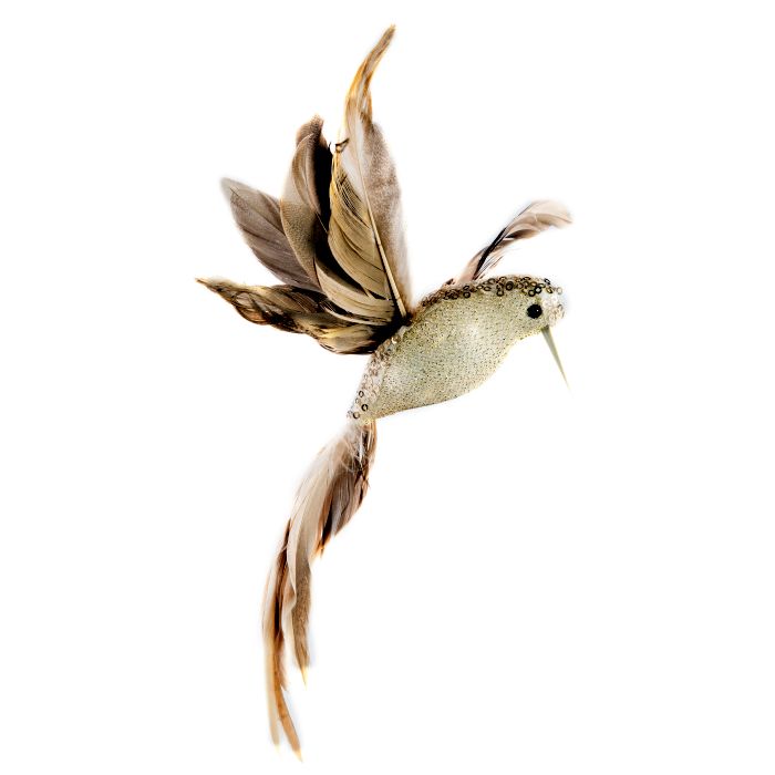 Picture of 23cm Gold Humming Bird