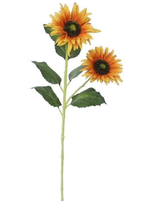 Picture of 80cm Sunflower X2 80cm