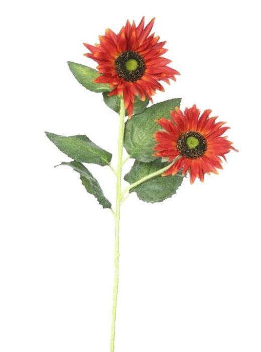 Picture of 80cm Sunflower X2 80cm