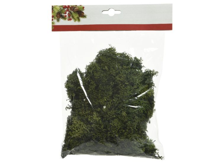 Picture of Decoration Moss