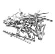 Picture of TRM04/DT 4.9X16 MINI PK POP RIVETS