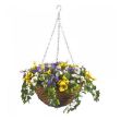 Picture of Petunia Hanging Easy Basket