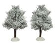 Picture of Tree Indoor Pine Green