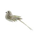 Picture of 17cm Champagne Bird On Clip