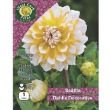 Picture of DSTLPP DAHLIA DECORATIVE SEATTLE