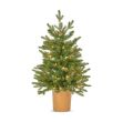 Picture of The Tree Company Potted Eldon Pre-Lit Fir Christmas Tree - 3ft